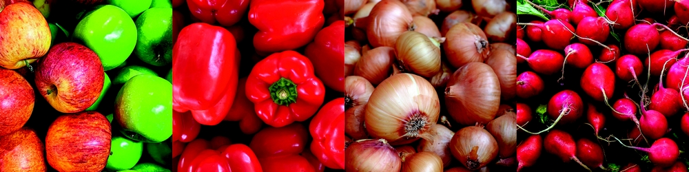 kolaż – zbliżenie na jabłka (czerwone i zielone), paprykę, rzodkiewkę oraz cebulę w łusce