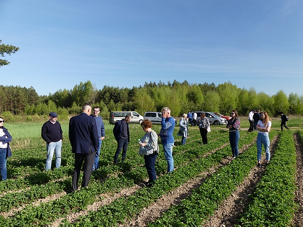 Zdjęcie 4.	Wizyta na plantacji produkcyjnej 