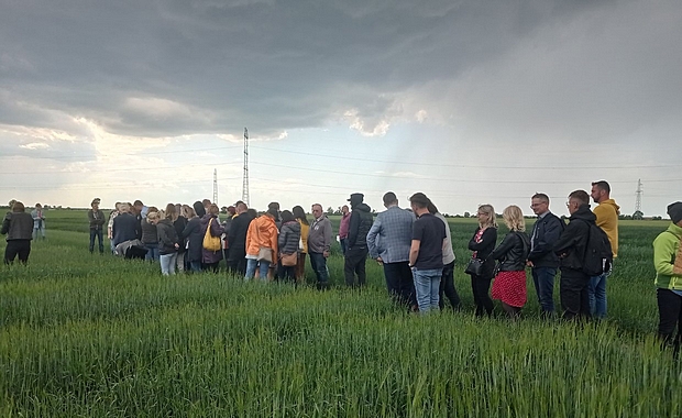 Zdjęcie 5 Uczestnicy szkolenia na poletkach doświadczalnych cz1