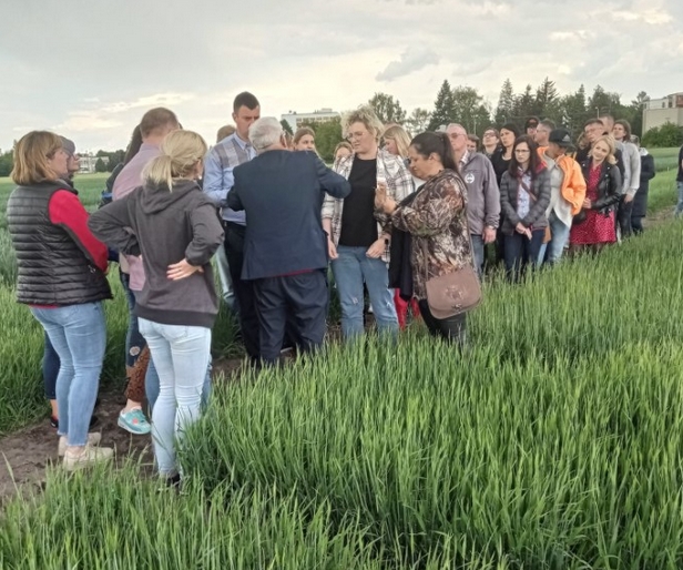Zdjęcie 6 Uczestnicy szkolenia na poletkach doświadczalnych cz2