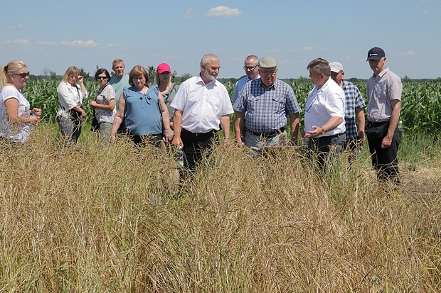 Zdjęcie 6 Uczestnicy spotkania na polach doświadczalnych,