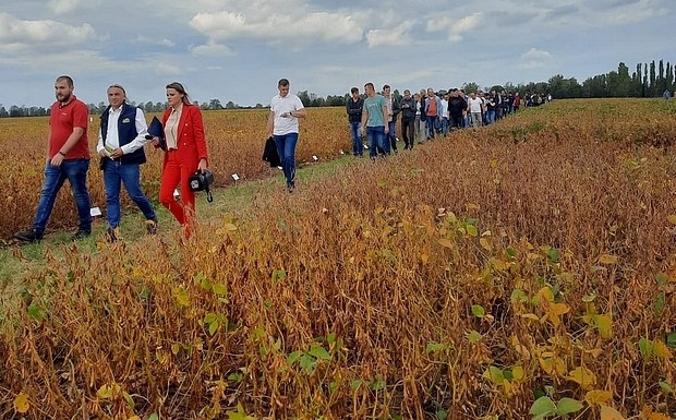 Wizyta na doświadczeniach z soją w SDOO w Głubczycach