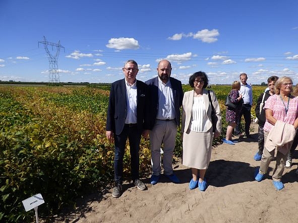 5.	prof. H. Bujak (dyrektor COBORU), Pan Radosław Rybicki (Dyrektor Departamentu RiROW UM) I Pani Emilia Sekulska (Dyrektor SDOO w Seroczynie) przy poletkach doświadczalnych 