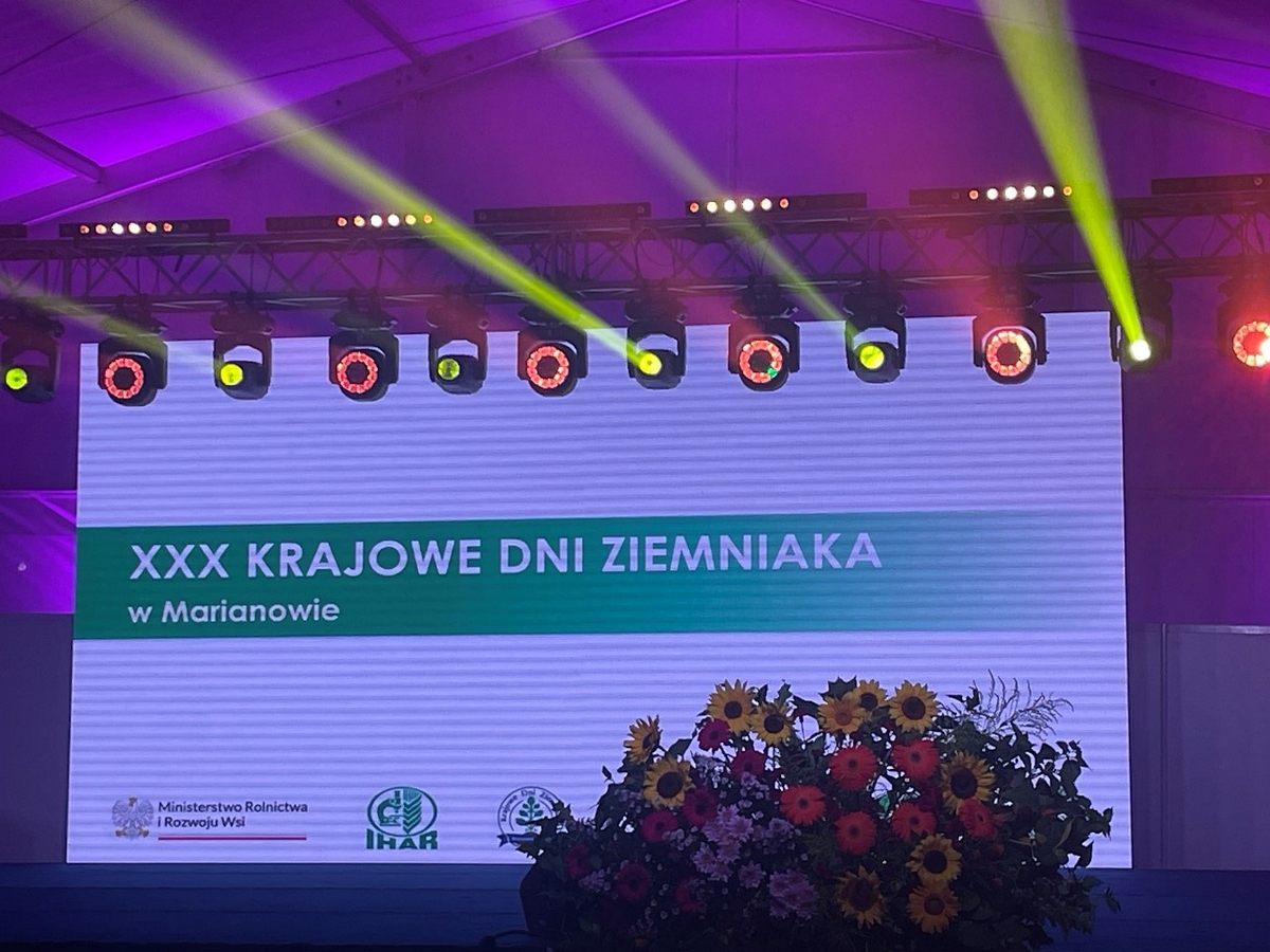 plakat XXX krajowe dni ziemniaka w Marianowie